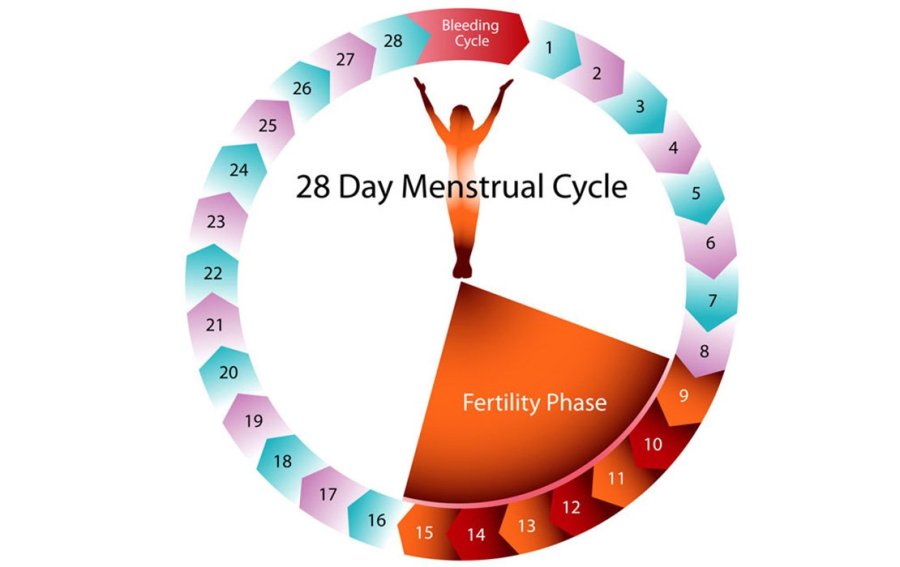 ARE YOU HAVING NORMAL PERIODS?