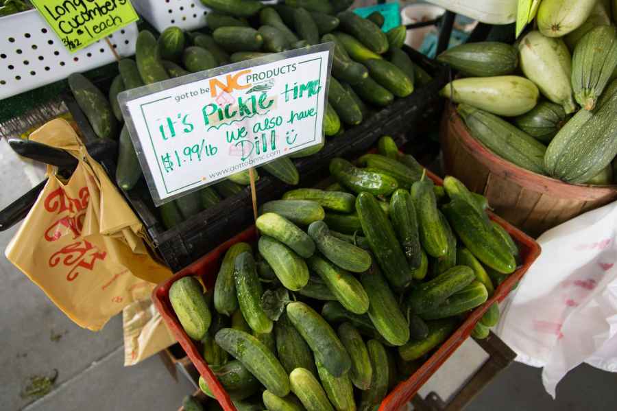 HEALTH BENEFITS OF EATING CUCUMBER